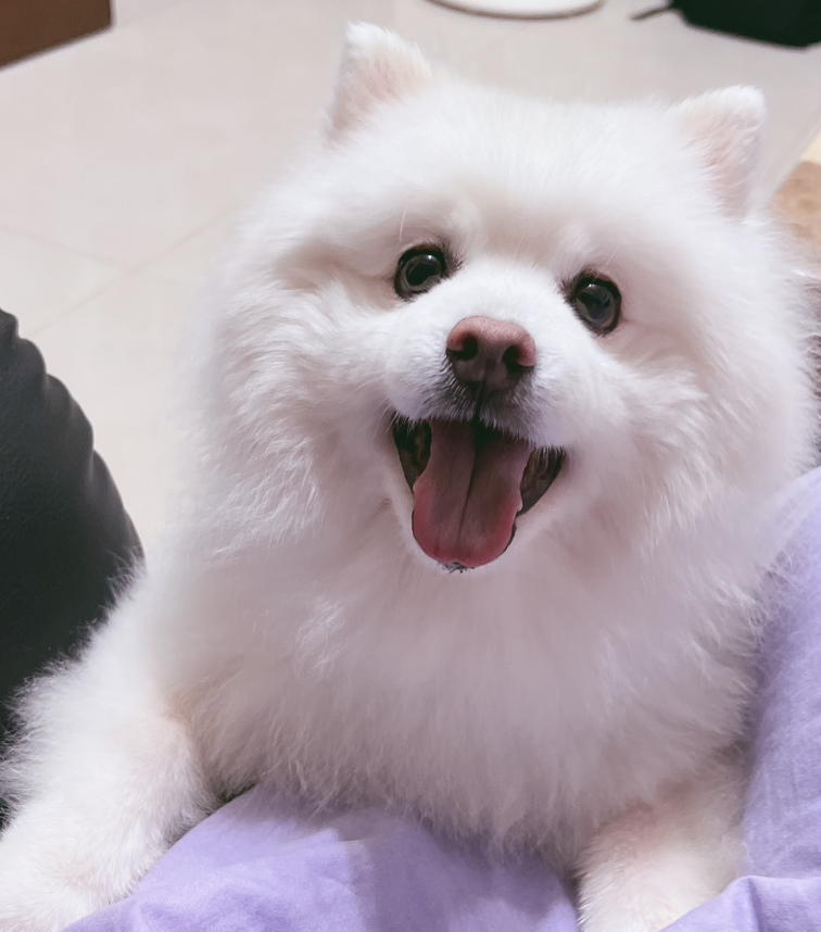 蘇**